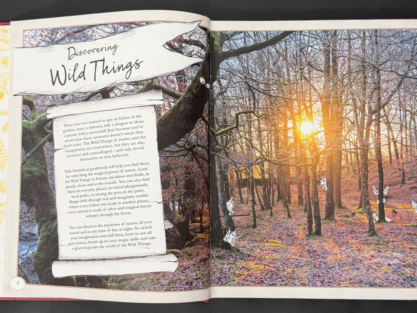 The Wild Things by Lonely Planet Kids, Fiona Danks, Jo Schofield