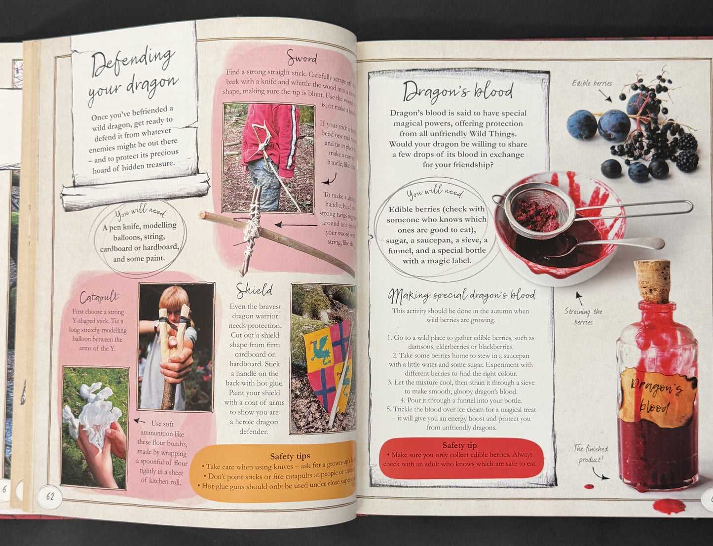 The Wild Things by Lonely Planet Kids, Fiona Danks, Jo Schofield