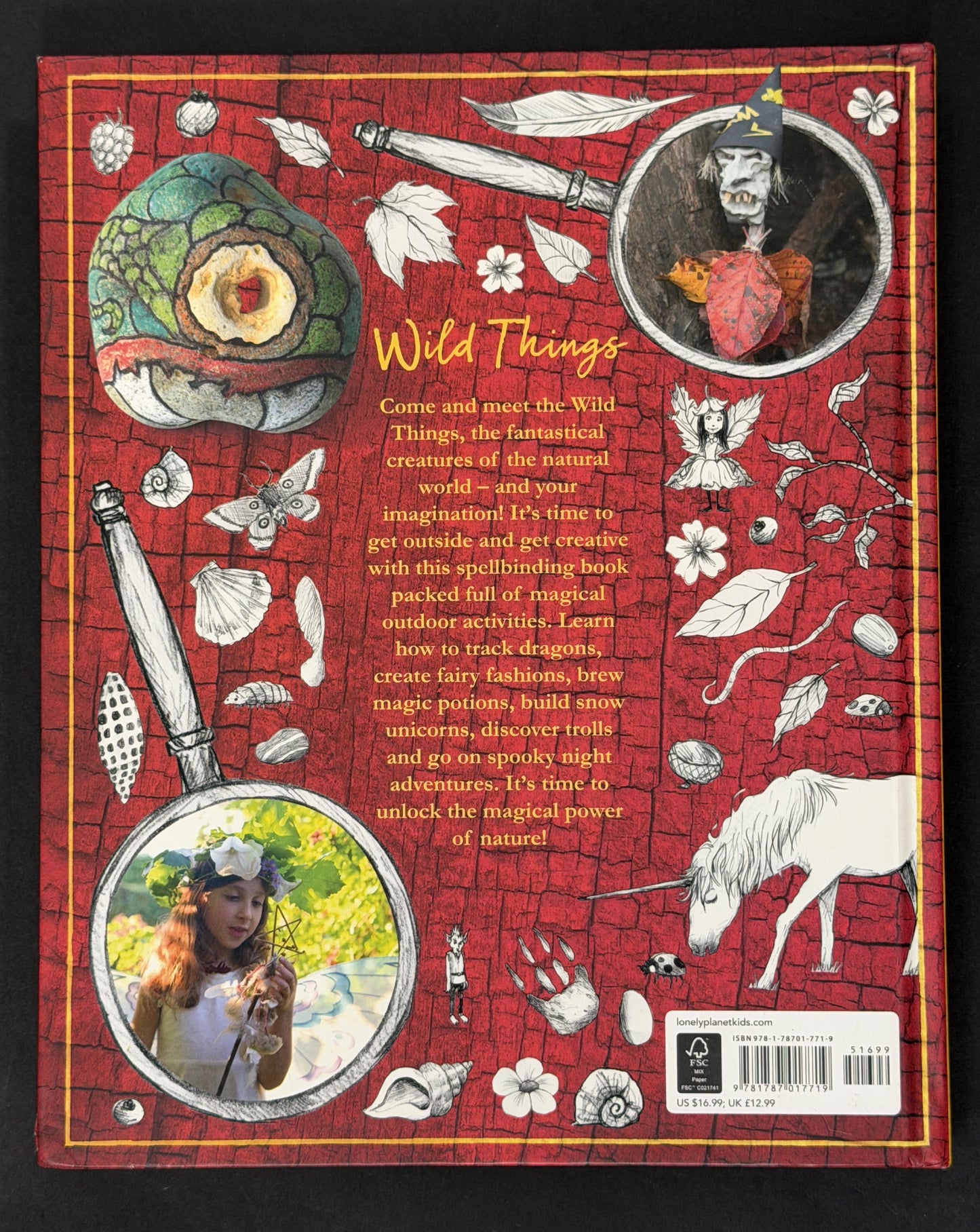 The Wild Things by Lonely Planet Kids, Fiona Danks, Jo Schofield