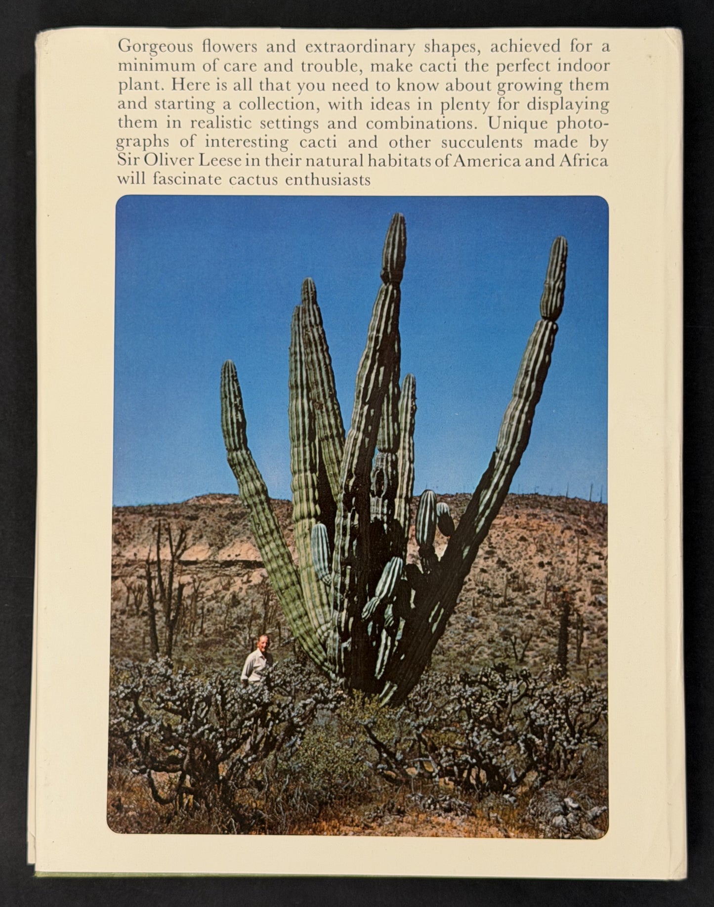 Cacti by Sir Oliver Leese