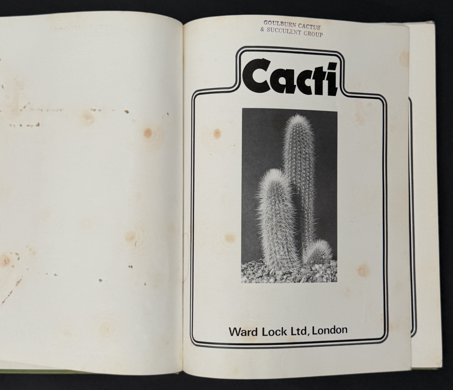 Cacti by Sir Oliver Leese