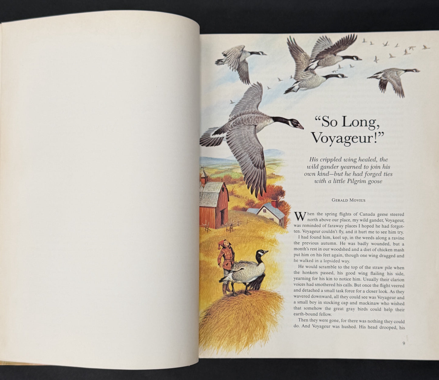 Animals Can be Almost Human by Alma E. Guinness