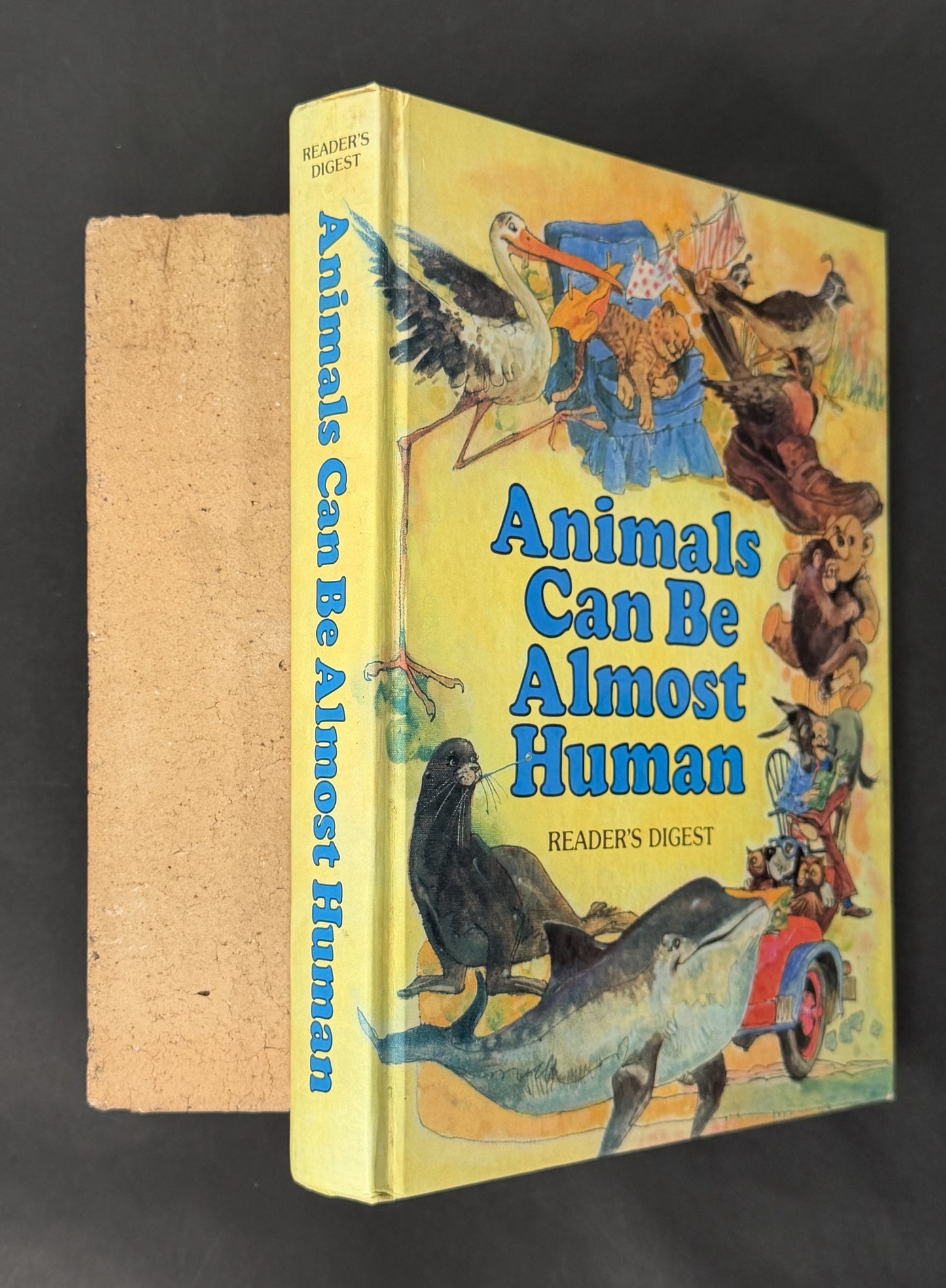 Animals Can be Almost Human by Alma E. Guinness