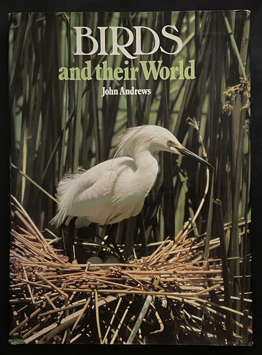 Birds and Their World by John Andrews