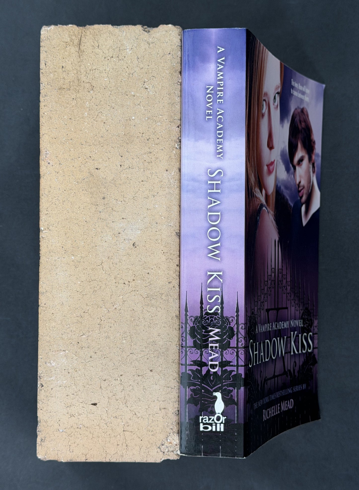Shadow Kiss by Richelle Mead