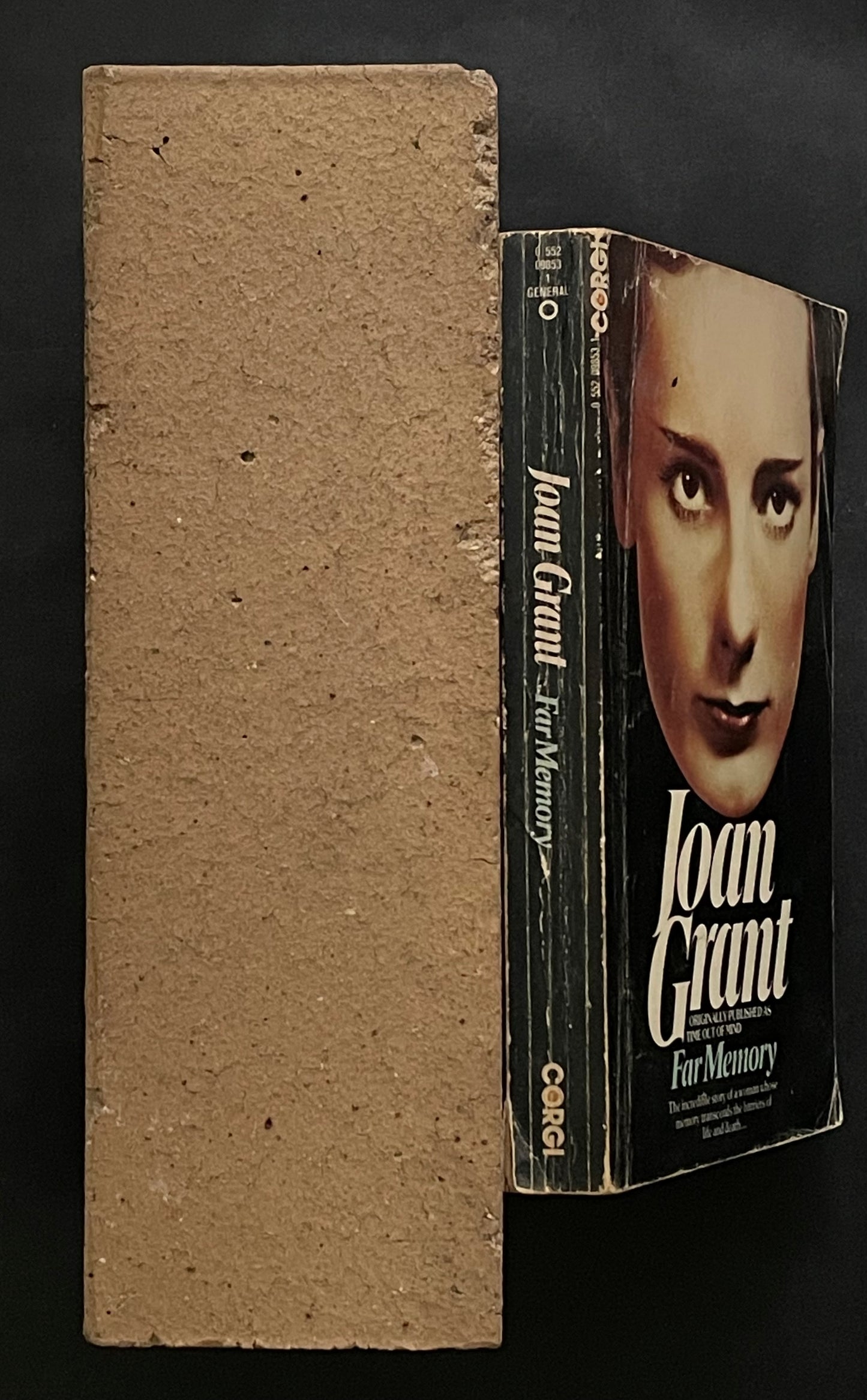 Far Memory by Joan Grant
