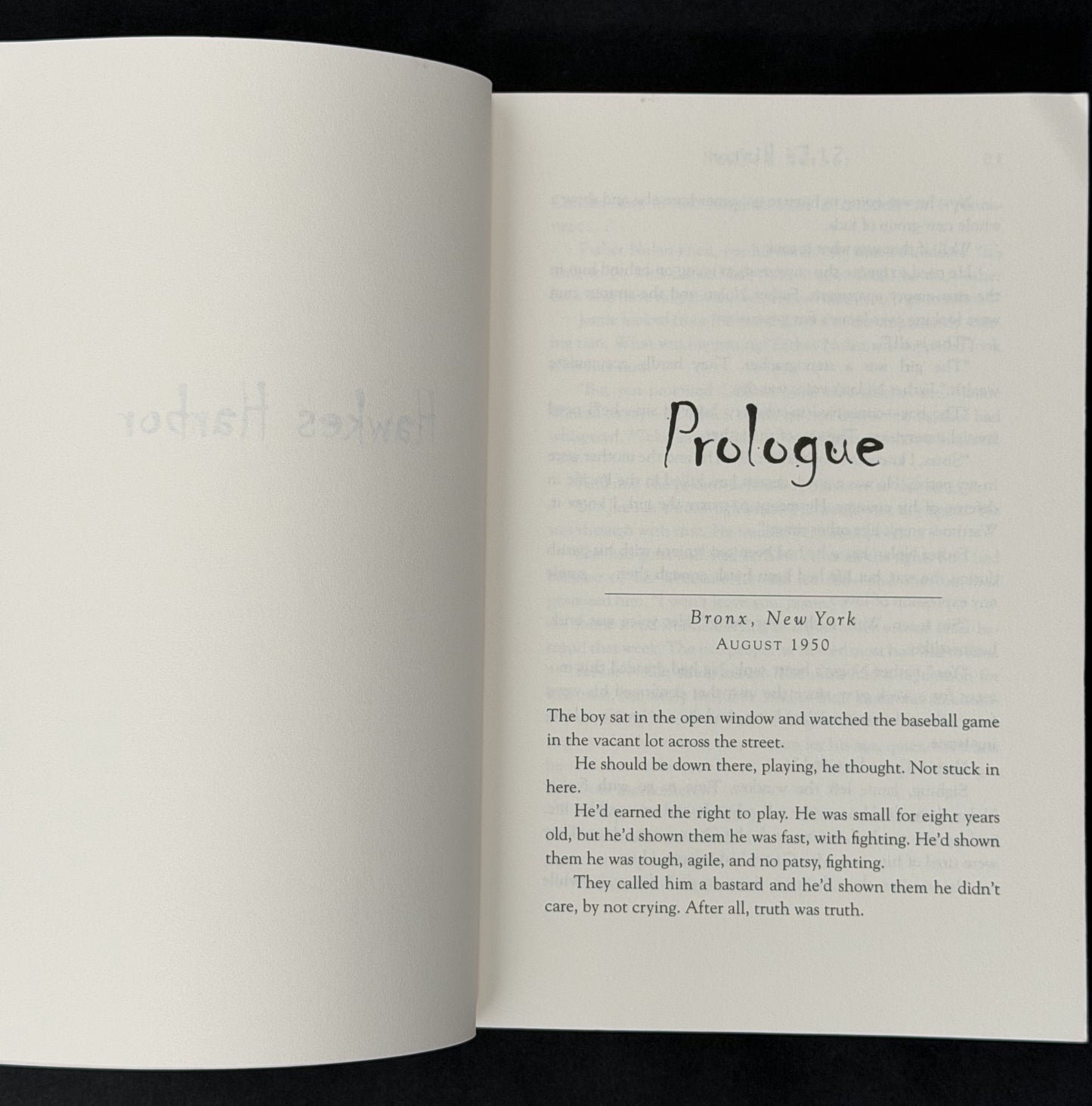 Hawkes Harbor by S.E. Hinton