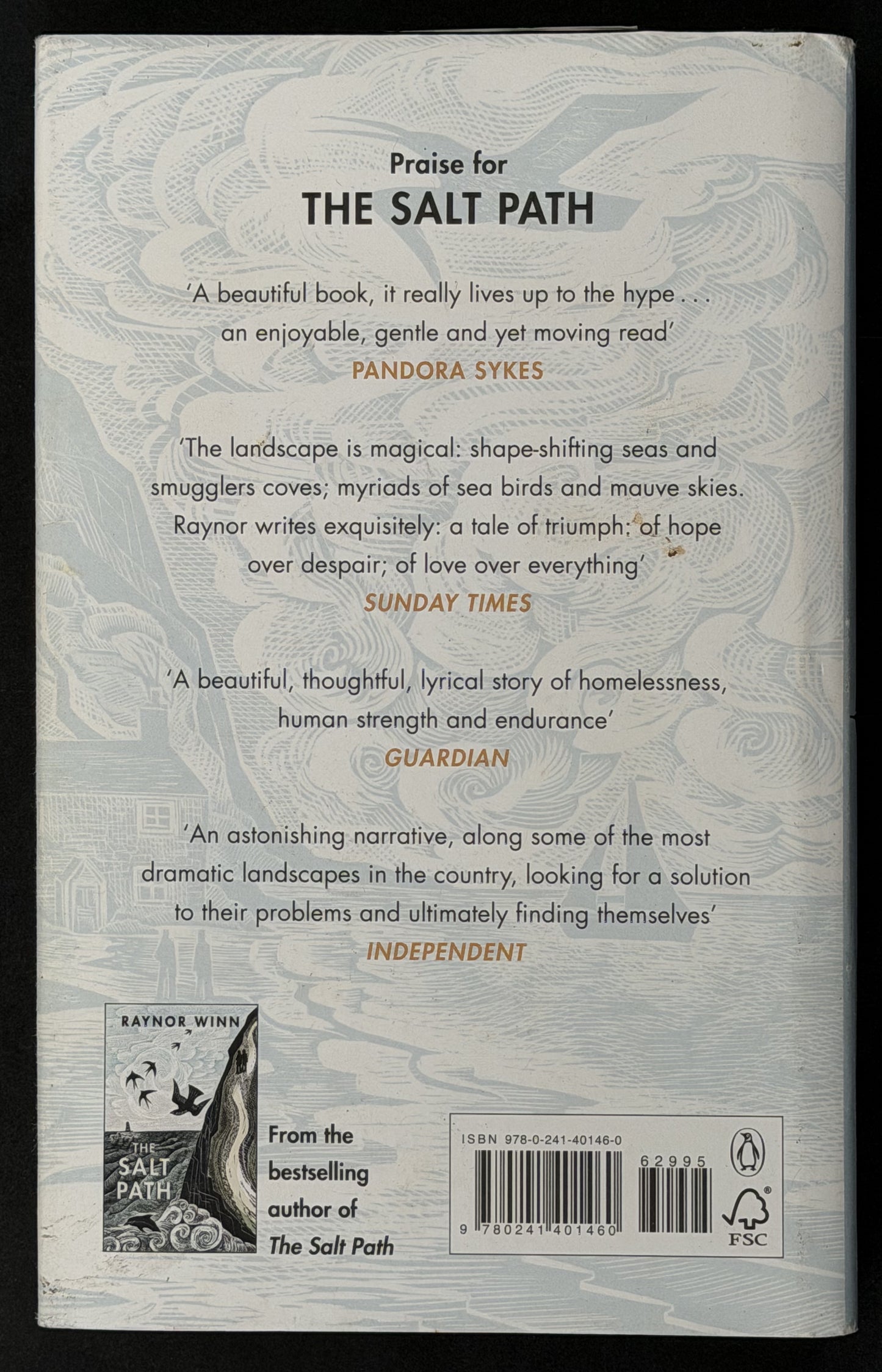 The Wild Silence by Raynor Winn