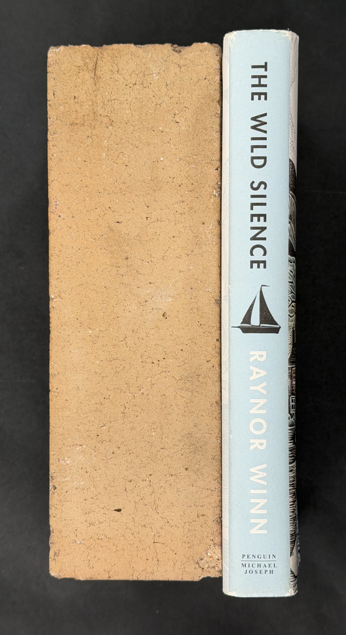 The Wild Silence by Raynor Winn