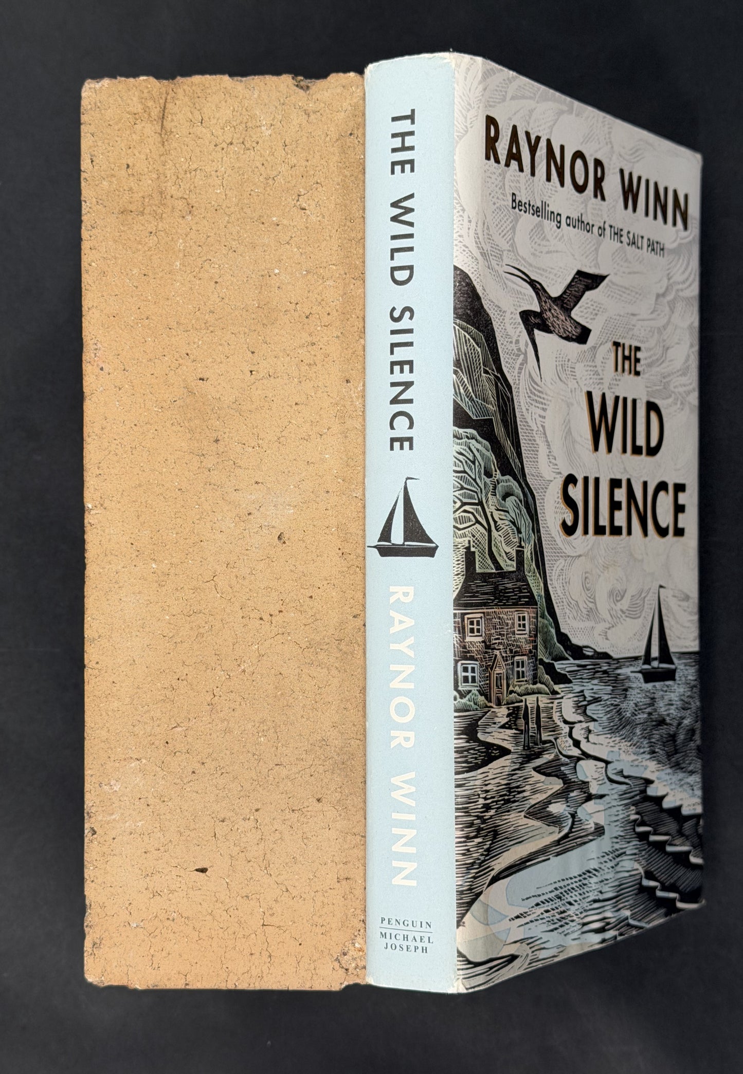 The Wild Silence by Raynor Winn