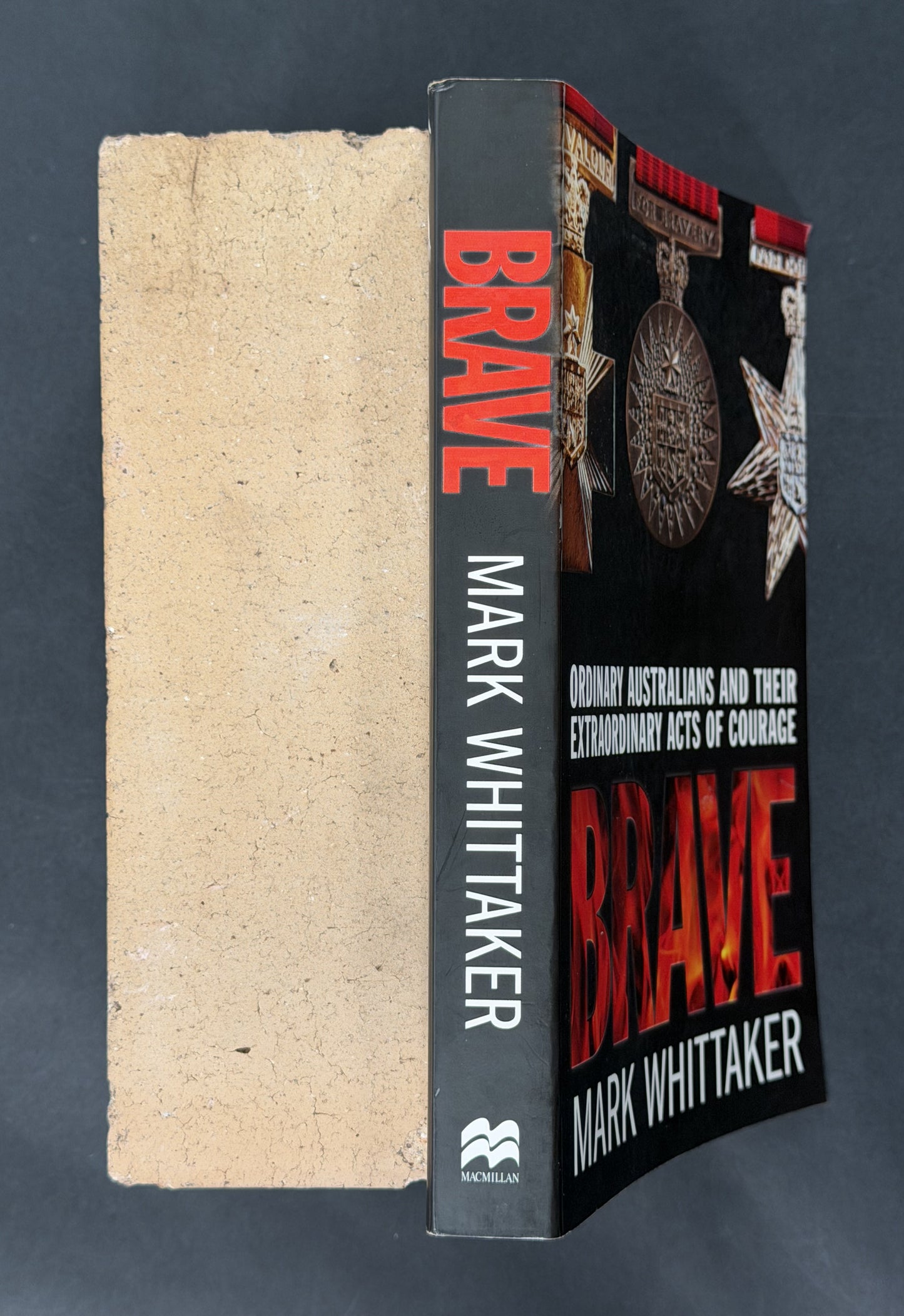 Brave by Mark Whittaker