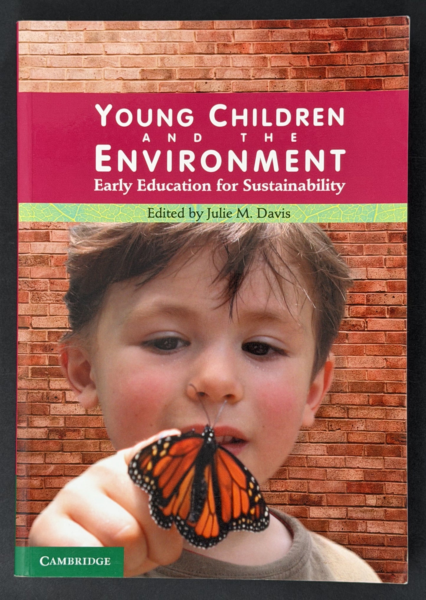 Young Children and the Environment by Julie M. Davis