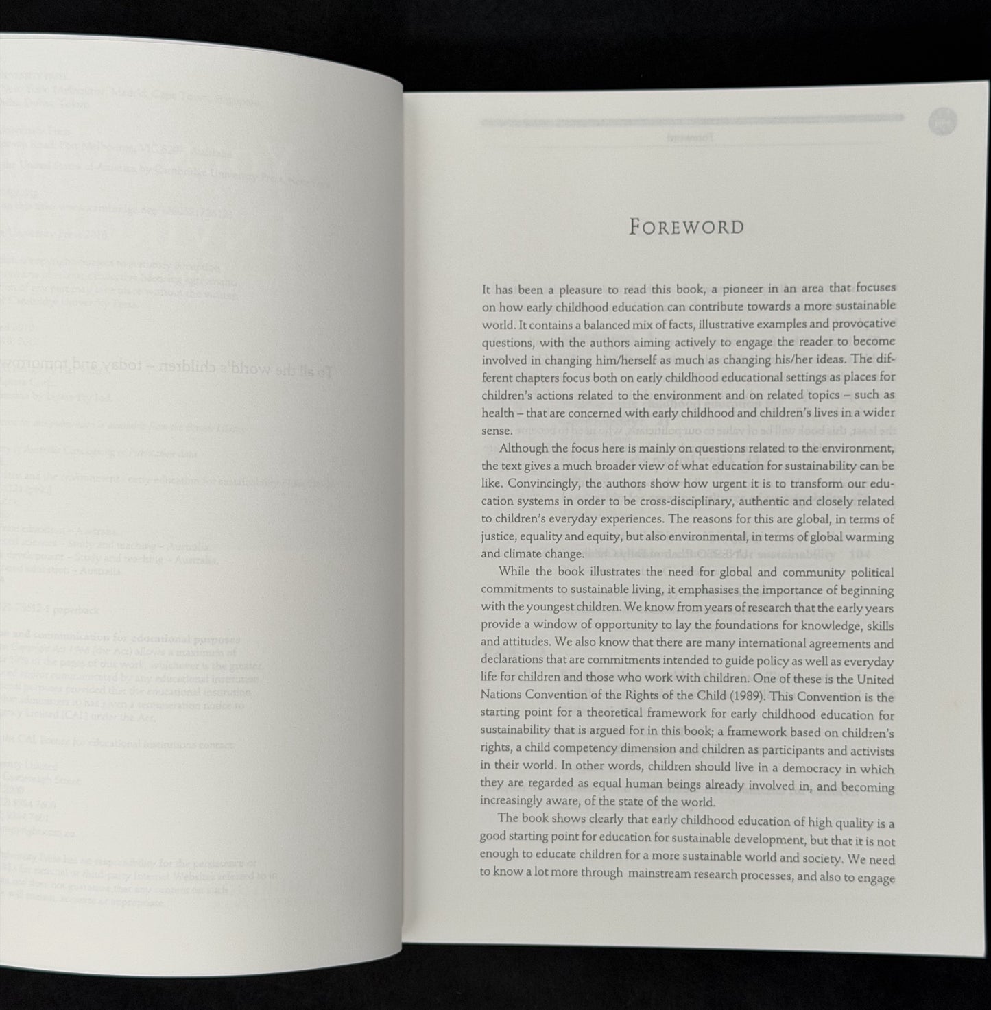 Young Children and the Environment by Julie M. Davis