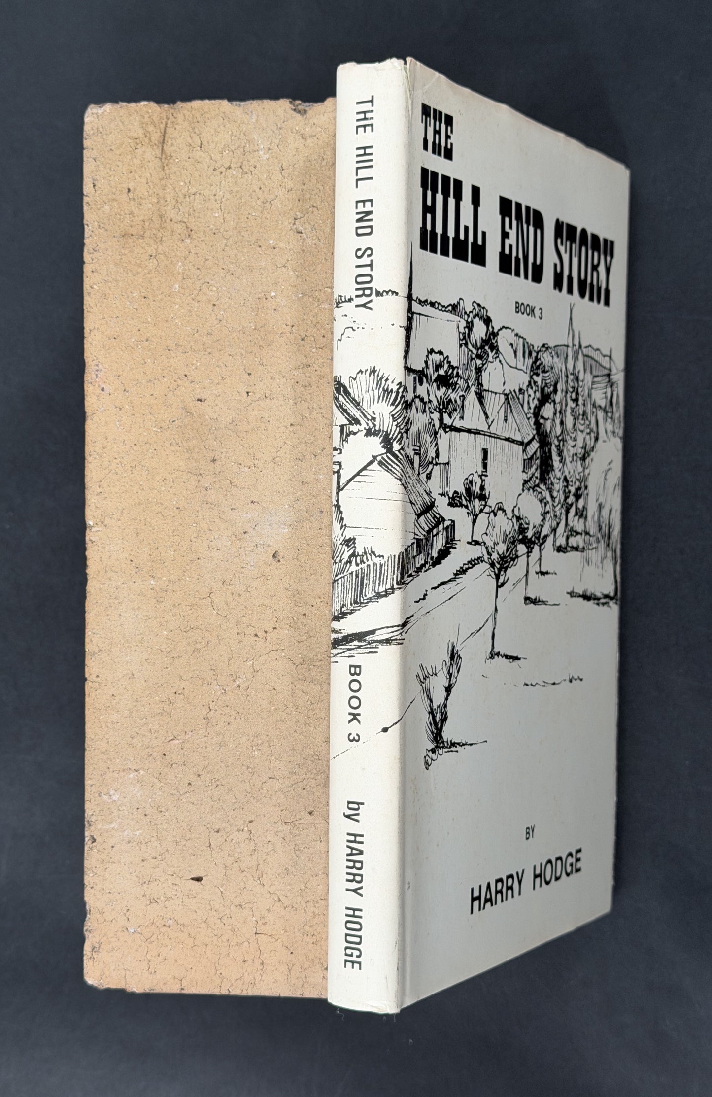 The Hill End Story by Harry Hodge