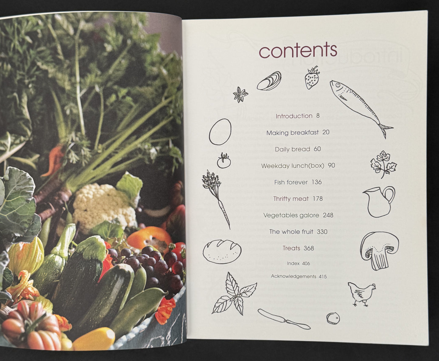 River Cottage Every Day by Hugh Fearnley-Whittingstall