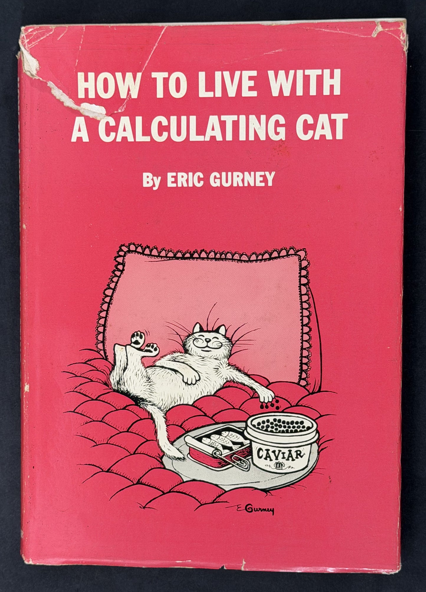 How to Live with a Calculating Cat by Eric Gurney