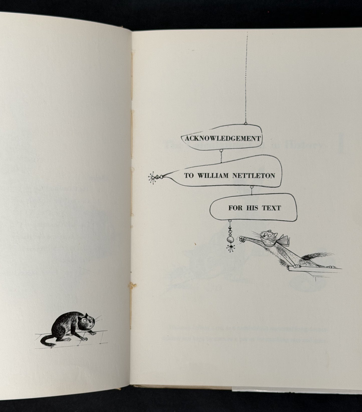 How to Live with a Calculating Cat by Eric Gurney