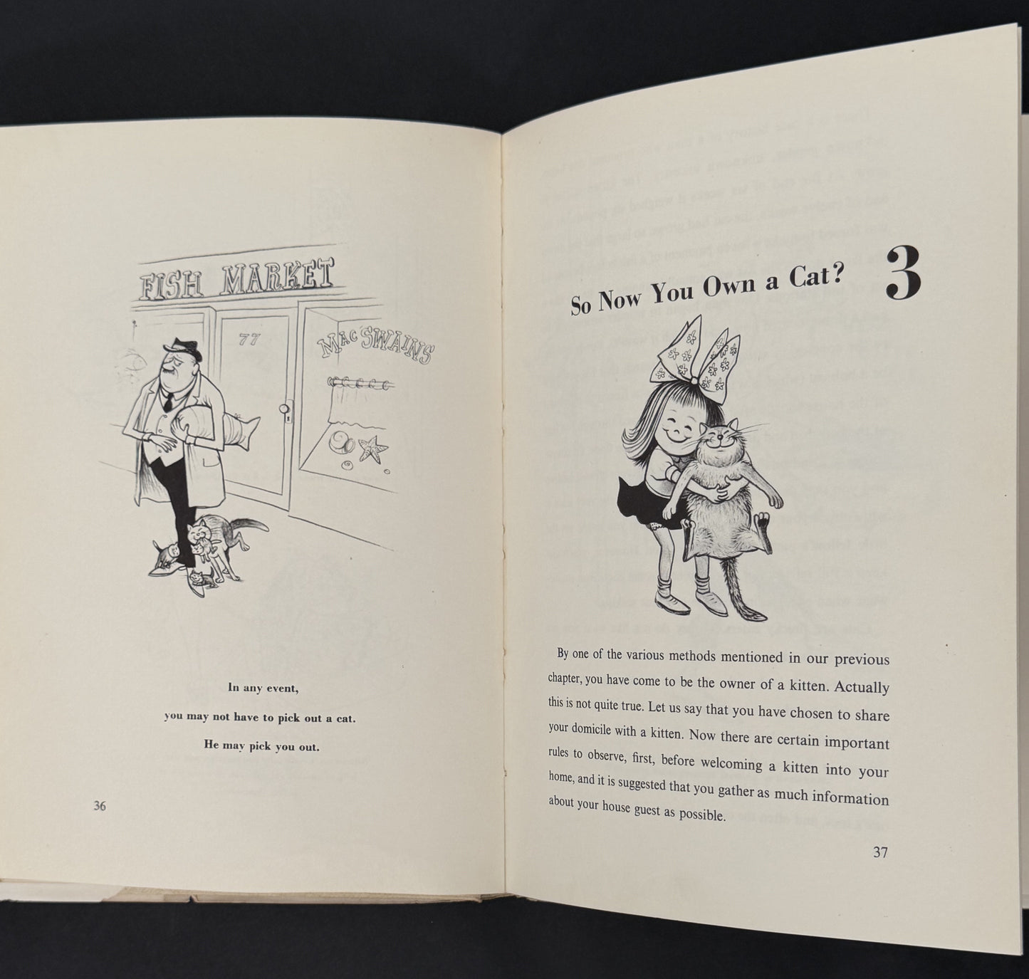 How to Live with a Calculating Cat by Eric Gurney