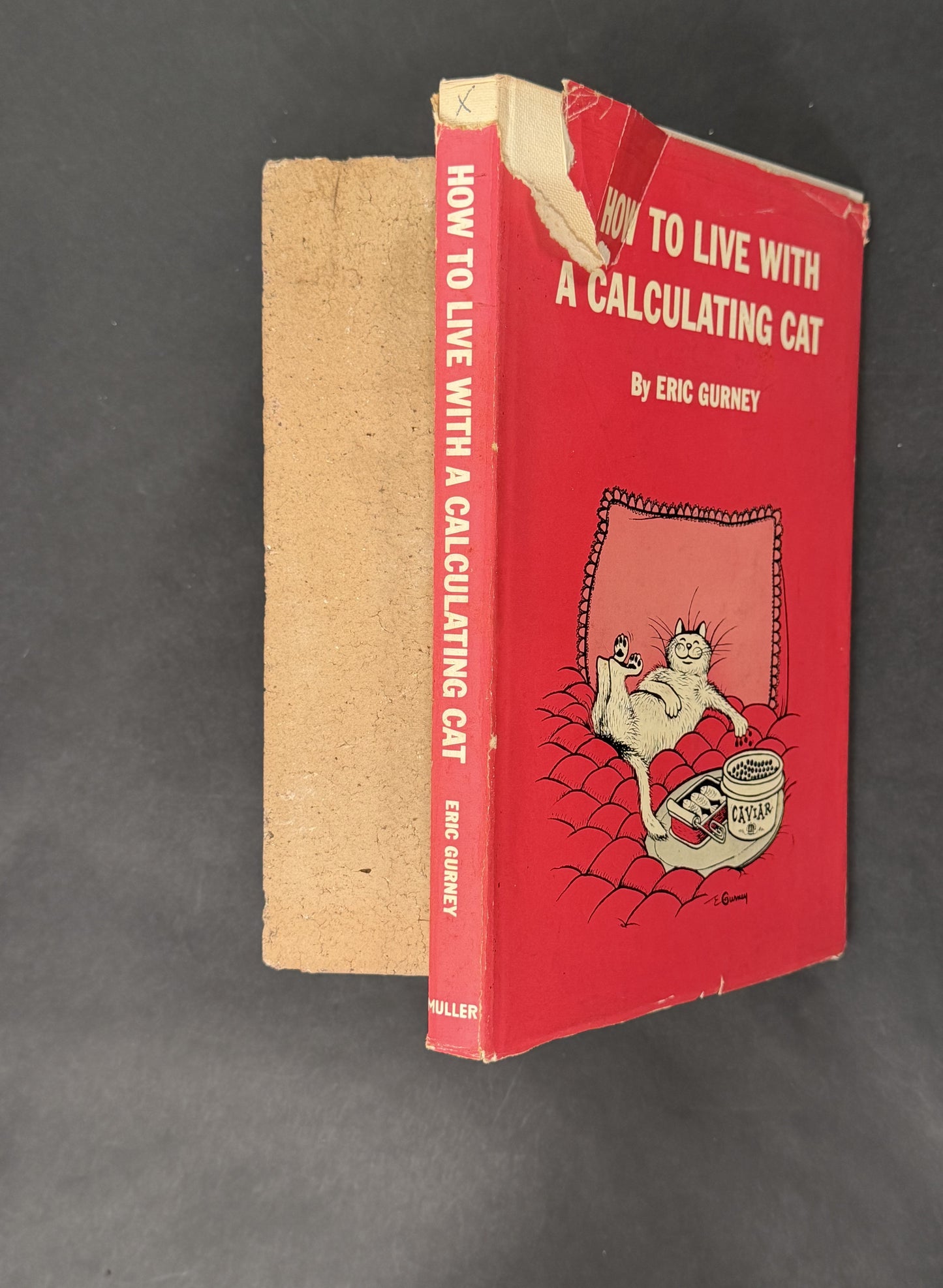 How to Live with a Calculating Cat by Eric Gurney