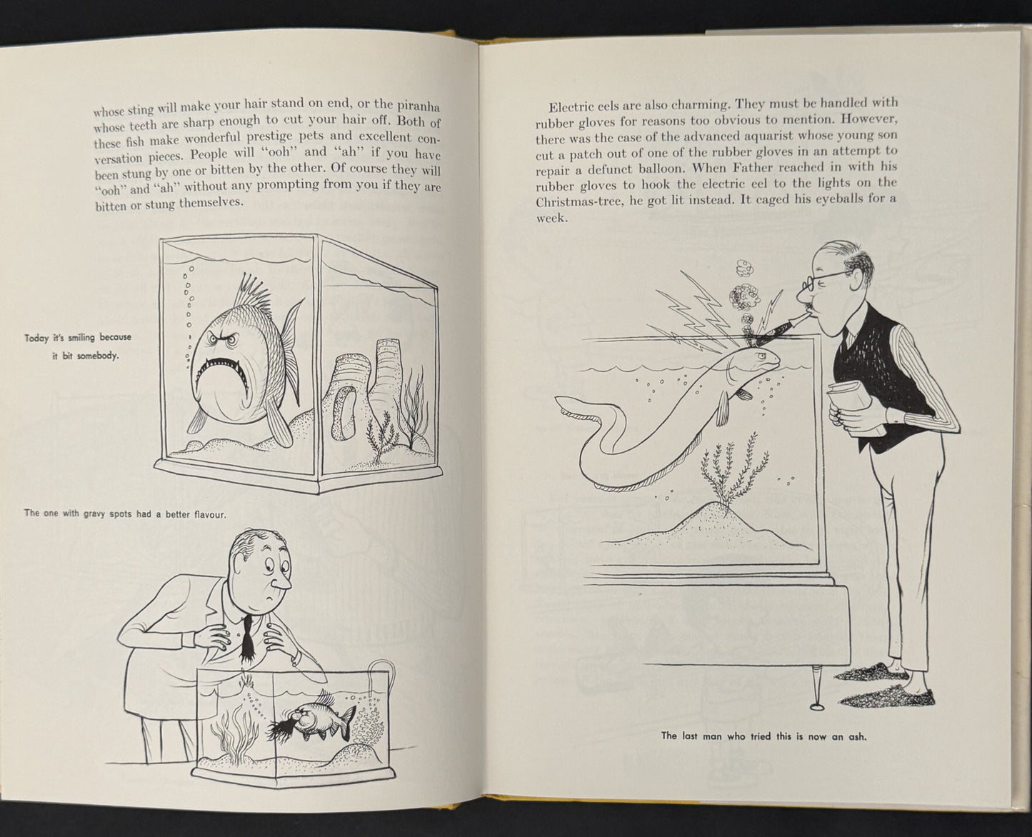 How to Live With a Pampered Pet by Eric Gurney