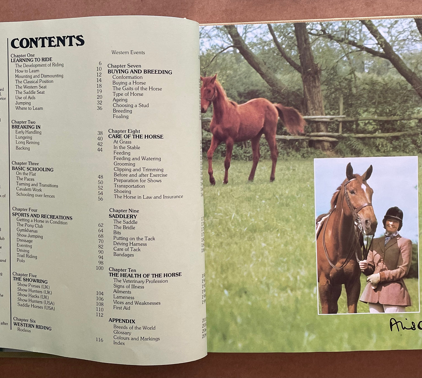 HORSE AND PONY MANUAL by Jane Kidd, David Hunt et al