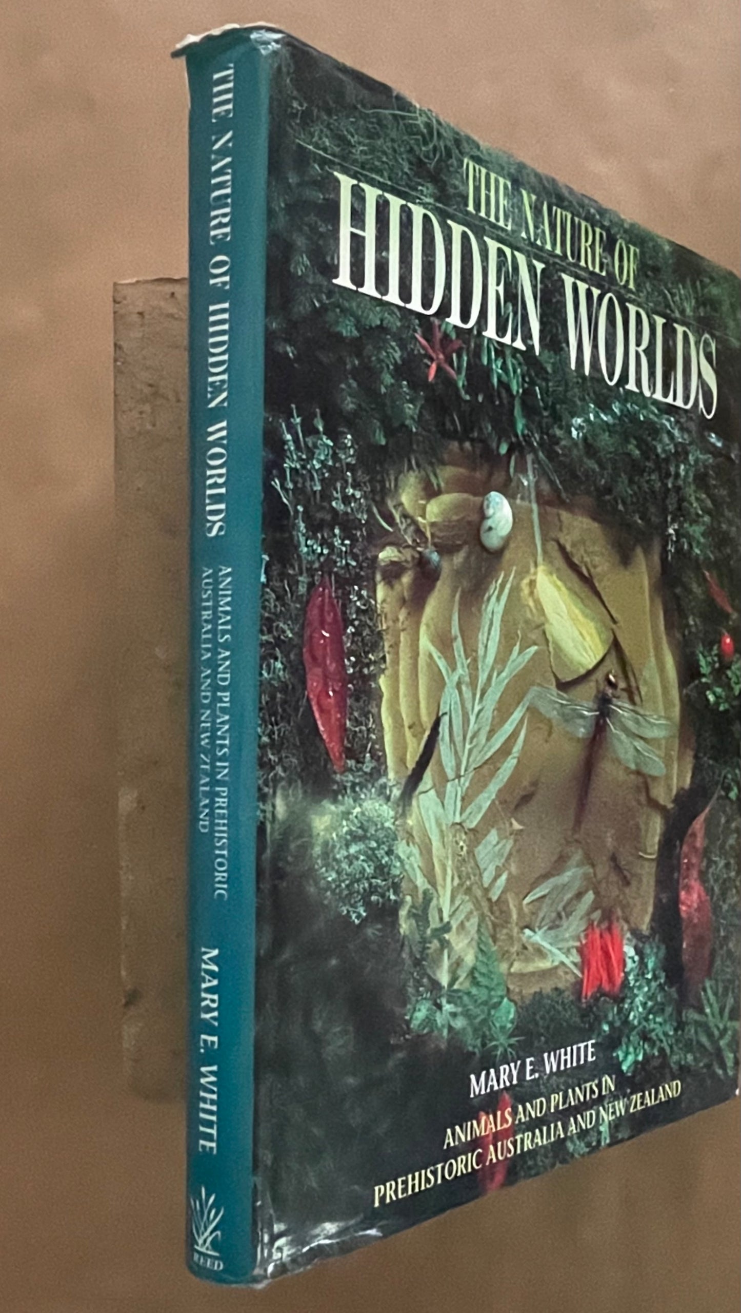 The Nature of Hidden Worlds by Mary E. White