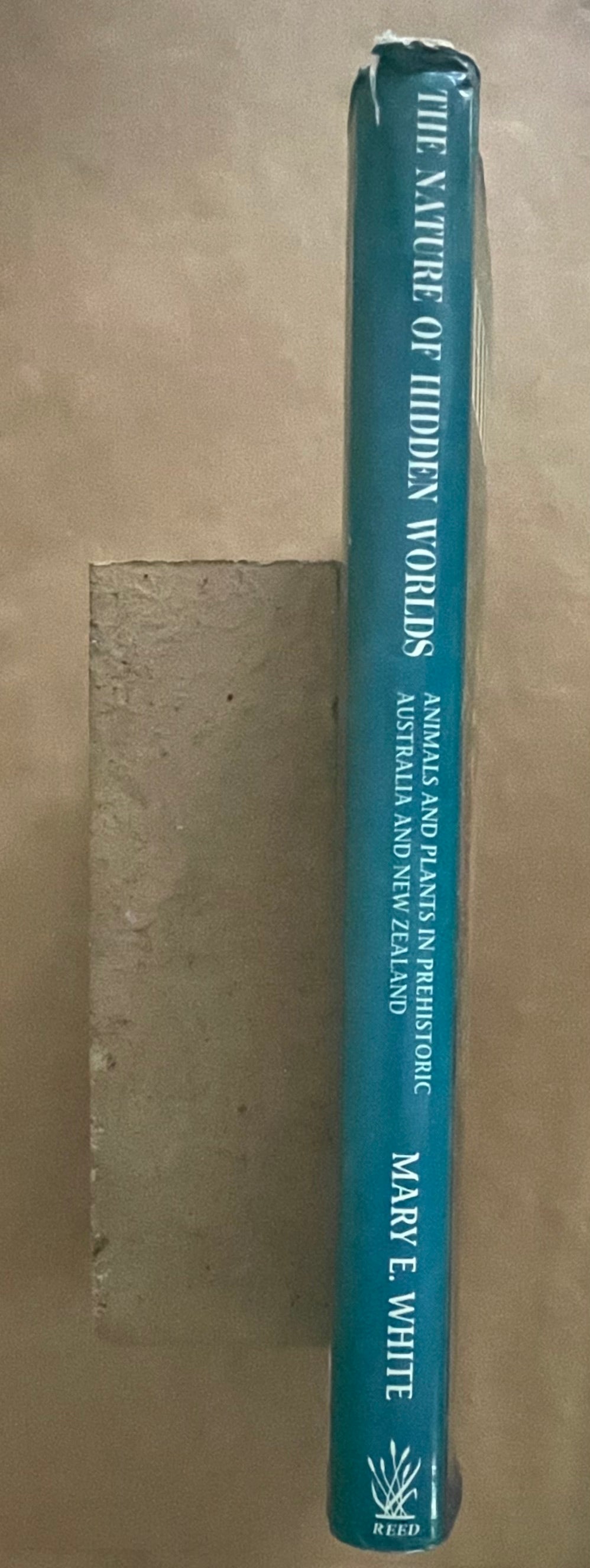 The Nature of Hidden Worlds by Mary E. White