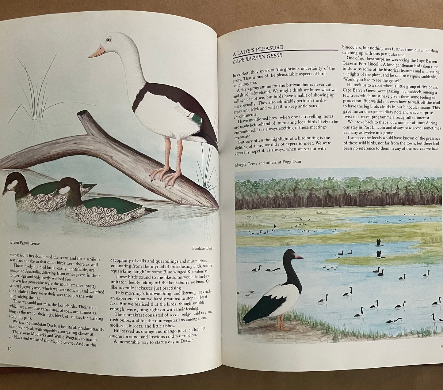 Australian Birdwatcher's Diary by Ted Schurmann