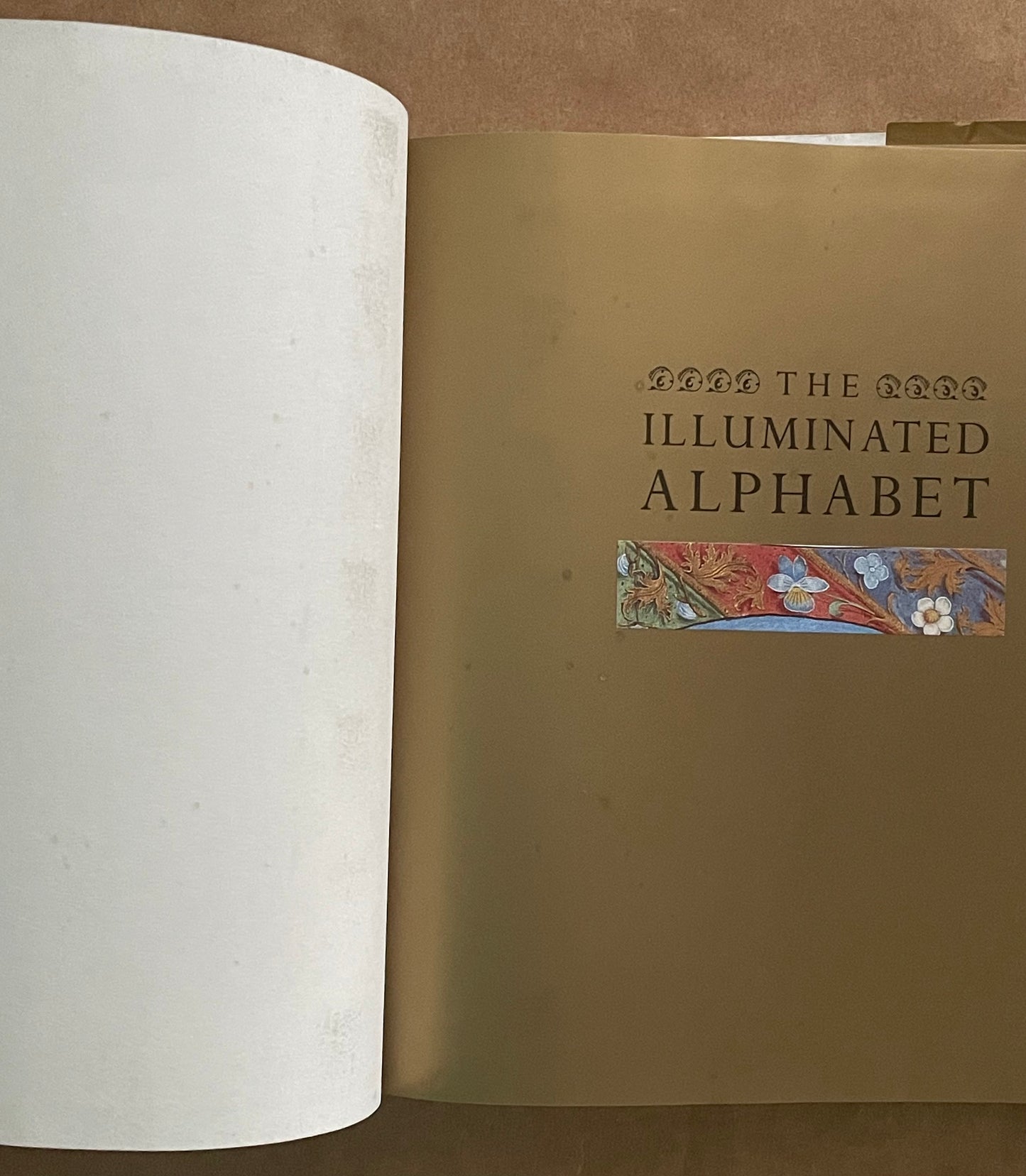The Illuminated Alphabet by Patricia Noad, Timothy Noad, Patricia Seligman