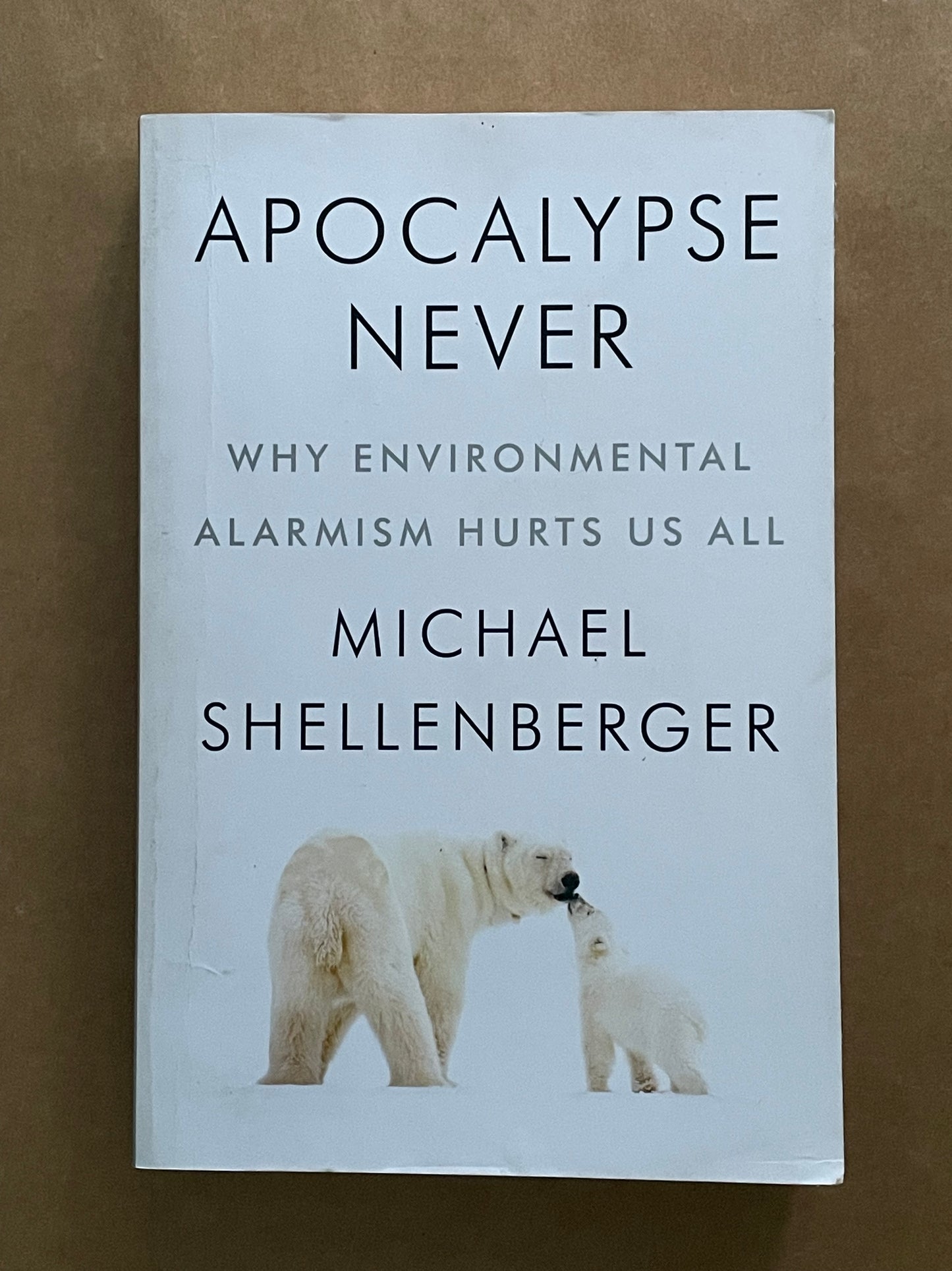 Apocalypse Never: Why Environmental Alarmism Hurts Us All